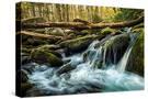 Stretched Canvas
