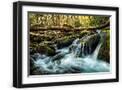 Black Frame