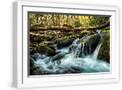 White Frame