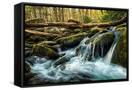 Canvas Black