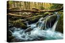 Stretched Canvas