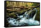 Canvas Black