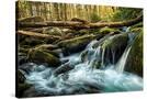 Stretched Canvas