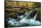 Canvas Black