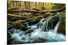 Stretched Canvas