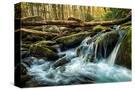 Stretched Canvas