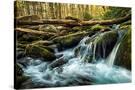 Stretched Canvas