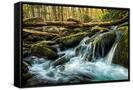Canvas Black