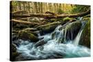 Stretched Canvas