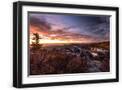 Black Frame