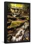 Essential Black