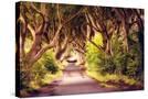 Stretched Canvas