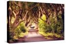 Stretched Canvas