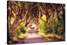 Stretched Canvas