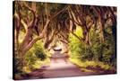Stretched Canvas