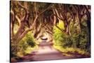 Stretched Canvas