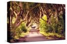 Stretched Canvas