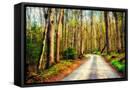Canvas Black