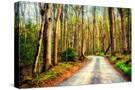 Stretched Canvas
