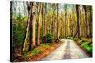 Stretched Canvas