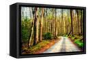 Canvas Black