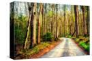 Stretched Canvas