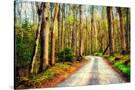 Stretched Canvas