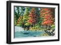 Black Frame