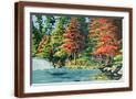 Brown Frame