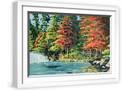White Frame