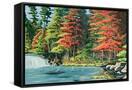 Canvas Black