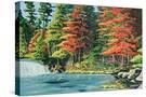 Stretched Canvas