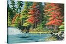 Stretched Canvas