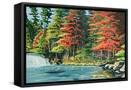 Canvas Black