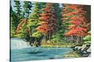 Stretched Canvas