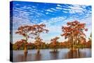 Stretched Canvas