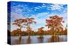 Stretched Canvas