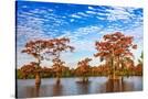 Stretched Canvas