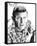 Andy Griffith - The Andy Griffith Show-null-Framed Stretched Canvas