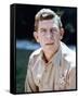 Andy Griffith - The Andy Griffith Show-null-Framed Stretched Canvas