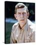 Andy Griffith - The Andy Griffith Show-null-Stretched Canvas