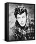 Andy Griffith - The Andy Griffith Show-null-Framed Stretched Canvas