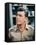 Andy Griffith-null-Framed Stretched Canvas