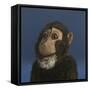 Andy Monkey, 2017,-Peter Jones-Framed Stretched Canvas