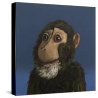 Andy Monkey, 2017,-Peter Jones-Stretched Canvas