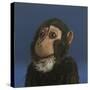 Andy Monkey, 2017,-Peter Jones-Stretched Canvas