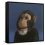 Andy Monkey, 2017,-Peter Jones-Framed Stretched Canvas