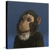 Andy Monkey, 2017,-Peter Jones-Stretched Canvas