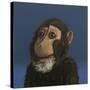 Andy Monkey, 2017,-Peter Jones-Stretched Canvas