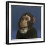 Andy Monkey, 2017,-Peter Jones-Framed Giclee Print